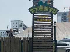 -柴犬高等学院·狗咖·柴犬售卖·宠物训练