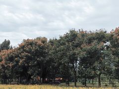 -黄河富景生态世界