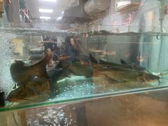 -鱼酷活鱼烤鱼(南京水游城店)