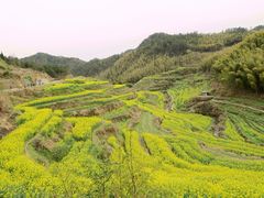 -灵山景区梯田