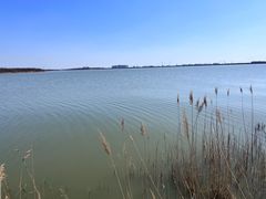 -天津东丽湖风景区