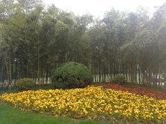 -春兰国宾馆(凤城河风景区老街店)