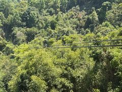 -清迈丛林飞跃 JungleFlight