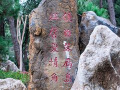 -东湖落雁景区