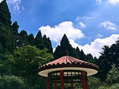 -庐山风景区花径公园