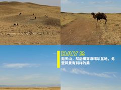 -赛里木湖风景名胜区