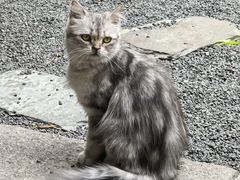 -南枝小馆(银鱼巷店)