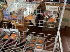 -蓝湾碧波·老字号·疍家非遗海上餐厅