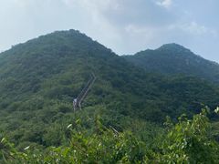 -大岭沟猕猴桃谷风景区