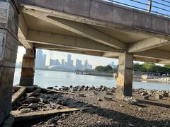 -深圳湾公园(南山区)