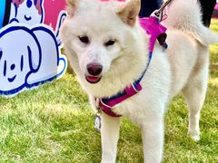 -上海神旺大酒店