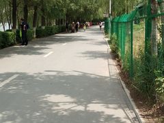 -长白岛森林公园