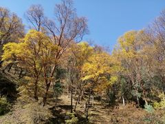 -互助北山国家地质公园漂流