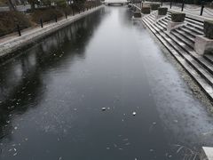 -熙春园餐厅