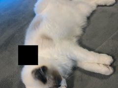 -零纪元VR体验馆·桌游(黄浦店)