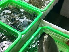 景观位-都斛海鲜街
