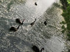 -长白岛森林公园