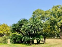 -雀儿山公园
