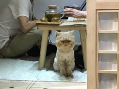 -小时光咖啡馆(开森度假森林店)