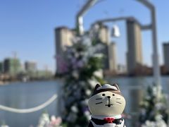 -桃花岛公园