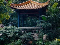 -广州兰圃