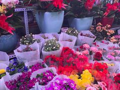 -三旗百汇商品城