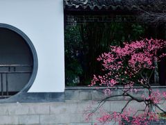 -红梅公园