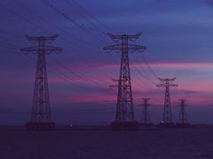 -宝安西湾红树林湿地公园