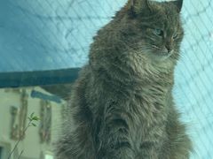 -青藏高原野生动物园