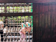 -中国福利会少年宫