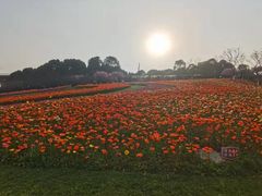 -白鹭湾湿地公园