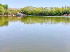 -天达烤全羊