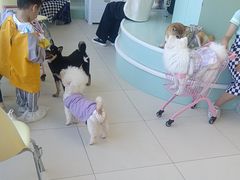 -怪兽屋·羊驼·猫咖·狗咖(俊华广场店)