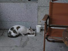 -PUZZLE COFFEE 拼图咖啡