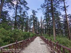 -瓦屋山景区