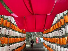 -龙瀑仙洞