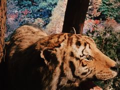 -温州博物馆