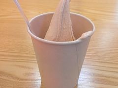 -野人先生Gelato(上海长宁龙之梦店)