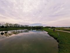 -金谷域澳洲庄园