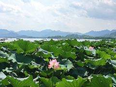 -西湖外事游船(湖滨二公园外事游船码头)