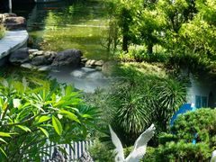 -大亚湾红树林城市湿地公园