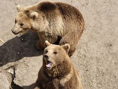 -哈尔滨北方森林动物园