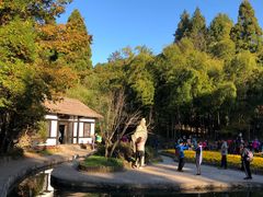 -庐山风景区花径公园