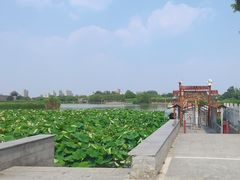 -东昌湖风景区