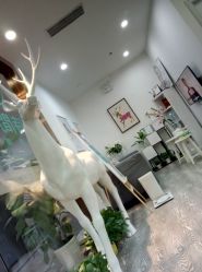 -时间海科学美容