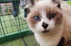 -萌宠亲子动物乐园(槐房万达店)