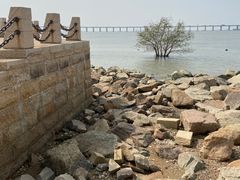 -宝安西湾红树林湿地公园