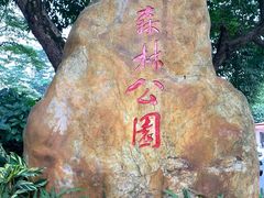 -广州市流溪河国家森林公园
