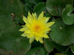 android_upload_pic-秀丽东方