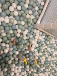 点击看大图 -超级奈尔宝SUPER NEOBIO(杭州星光店)